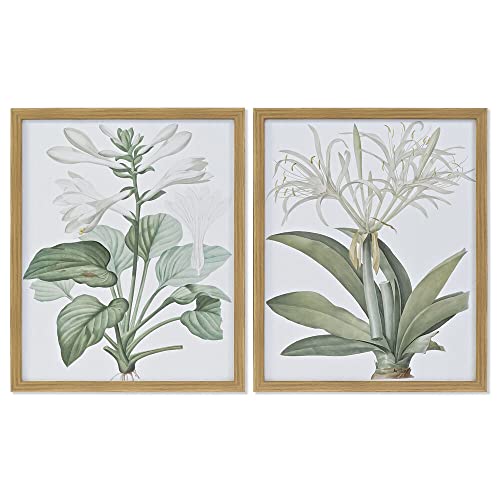 DKD Home Decor Botanische Pflanzen (2 Stück) (43 x 3 x 53 cm) (Referenz: S3017854) von DKD Home Decor