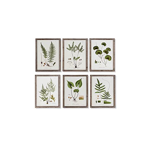 DKD Home Decor Botanische Pflanzen (30 x 1,8 x 40 cm) (6 Stück) (Referenz: S3017748) von DKD Home Decor