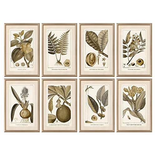 DKD Home Decor Botanische Pflanzen (4 Stück) (40 x 2 x 60 cm) (Referenz: S3018208) von DKD Home Decor