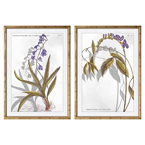 DKD Home Decor Botanische Pflanzen (50 x 2 x 70 cm) (2 Stück) (Referenz: S3018215) von DKD Home Decor