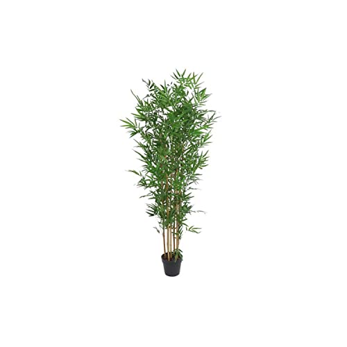 DKD Home Decor Deko-Pflanze aus Eva-Bambus, 70 x 70 x 185 cm von DKD Home Decor