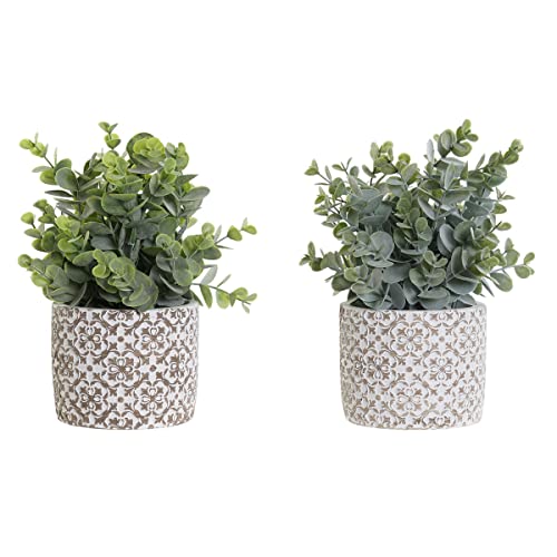 DKD Home Decor Dekorative Pflanze, Standard DKD Home Decor Dekorative Pflanze, Standard von DKD Home Decor