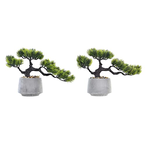 DKD Home Decor Dekorative Pflanze, Standard von DKD Home Decor