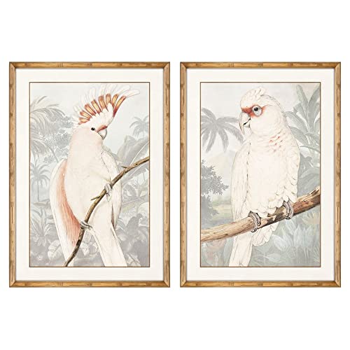 DKD Home Decor Loro Bild (50 x 2 x 70 cm) (2 Stück) (Referenz: S3018213) von DKD Home Decor