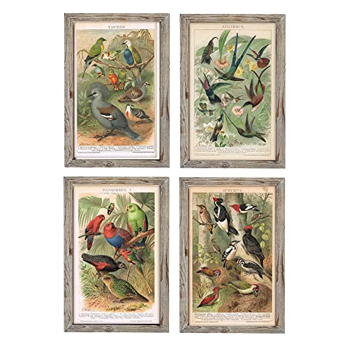 DKD Home Decor Vögel (45 x 2 x 65 cm) (4 Stück) (Referenz: S3018421) von DKD Home Decor