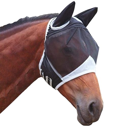 DKDDSSS Fliegenmaske Pferd: Hochwertige Fliegenhaube für Pferde UV-Schutz & Stretch Fliegenmaske Pferd Cob & Pony Fliegenschutz für Pferde DKDDSSS Fliegenmaske Pferd: Hochwertige Fliegenhaube für Pferde UV-Schutz & Stretch Fliegenmaske Pferd Cob & Pony Fliegenschutz für Pferde von DKDDSSS