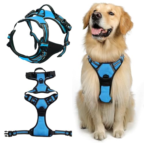 DKDDSSS Hundegeschirr, Geschirr Hund, Hundegeschirr Mittelgroße Hunde, Anti Zug Hundegeschirrr, Geschirr für Hunde, Brustgeschirr für Labrador, Einfache Anpassung und Benutzung, Atmungsaktiv (Blau M) von DKDDSSS