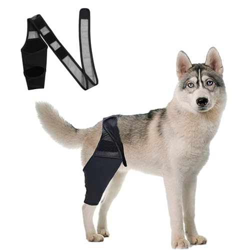 DKDDSSS Kniebandage Hund Hinterbein - Bandage für Hund mit Kreuzbandriss, Recovery Sleeve Hund - Unterstützung und Schutz für Hinterbein DKDDSSS Kniebandage Hund Hinterbein - Bandage für Hund mit Kreuzbandriss, Recovery Sleeve Hund - Unterstützung und Schutz für Hinterbein von DKDDSSS