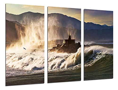 DKORARTE Modernes Foto-Bild, Wellen, Meer, Bravo Meer, Zapfen, Natur, 97 x 62 cm, Ref. 27407 von DKORARTE