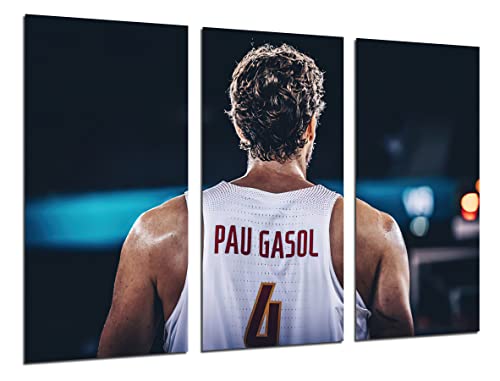 DKORARTE Modernes Fotobild, Basketball, Pau-Benzin, Rücken, spanische Nationalmannschaft, 97 x 62 cm, Ref. 27379 von DKORARTE