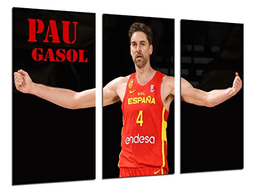 DKORARTE Modernes Fotobild, Basketball, Pau Gasol, spanische Nationalmannschaft, 97 x 62 cm, Ref. 27378 von DKORARTE