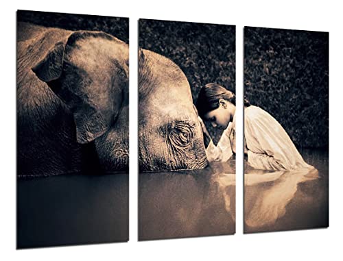 DKORARTE Modernes Fotobild, Elefant, Verbindung, Frieden und Liebe, Yoga, Namasté, 97 x 62 cm, Ref. 27412 von DKORARTE