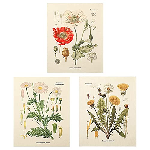 DKSooozs 3 StüCke Tapisserie Wandbehang Wildblumen Blumen Tapisserie Diagramm Kleine Tapisserie für Schlafzimmer Wohnzimmer (A+B+E) von DKSooozs