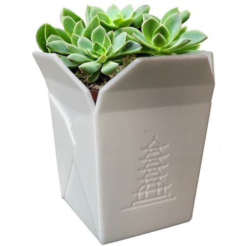 DKWRK3D Chinesische Nudelbox Blumentopf Weiß - Chinesisch Take-Out Box - Take Away - Pflanzen Übertopf Lustig - Asia Sukkulenten Topf - Pflanzentopf Witzig Blumenübertopf aus Kunststoff (M) von DKWRK3D