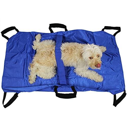 Tiertransporttrage mit Sicherheitsgurt für den sicheren Transport von Haustieren im Notfall,Blue Tiertransporttrage mit Sicherheitsgurt für den sicheren Transport von Haustieren im Notfall,Blue von DLAZUM