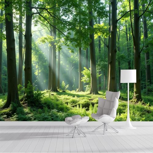 DLERFLOVR Tapete Smaragdgrün Seidentapeten Dichtes Blätterdach Tapeten Ruhiger Wald Wandtapete Wanddeko Motivtapeten für Wohnzimmer Schlafzimmer Kinderzimmer 350x250cm DLERFLOVR Tapete Smaragdgrün Seidentapeten Dichtes Blätterdach Tapeten Ruhiger Wald Wandtapete Wanddeko Motivtapeten für Wohnzimmer Schlafzimmer Kinderzimmer 350x250cm von DLERFLOVR