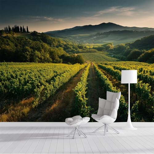 Fototapete 3d Effekt Panorama-Tapete 400x280cm Weinberg Seidenmaterial Wandbilder Italienische Felder geeignet für die Wanddekoration von Wohnzimmer und Schlafzimmer Grün Fototapete 3d Effekt Panorama-Tapete 400x280cm Weinberg Seidenmaterial Wandbilder Italienische Felder geeignet für die Wanddekoration von Wohnzimmer und Schlafzimmer Grün von DLERFLOVR