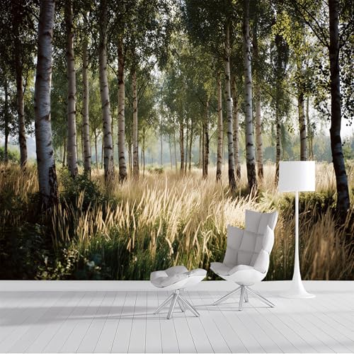 Fototapete Birken 400x280cm Seide Tapeten XXL Ländliche Felder Wandtapete 3D Effekt Dekoration Wandbild für Wohnzimmer Schlafzimmer Kinderzimmer, Grün Fototapete Birken 400x280cm Seide Tapeten XXL Ländliche Felder Wandtapete 3D Effekt Dekoration Wandbild für Wohnzimmer Schlafzimmer Kinderzimmer, Grün von DLERFLOVR