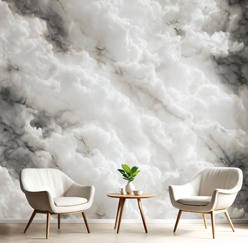 Fototapete Weißer Marmor 400x280cm Seide Foto Tapete Abstrakte Wolken XXL Wandtapete für Wohnzimmer Schlafzimmer Esszimmer Wanddekoration, Hellgrau Fototapete Weißer Marmor 400x280cm Seide Foto Tapete Abstrakte Wolken XXL Wandtapete für Wohnzimmer Schlafzimmer Esszimmer Wanddekoration, Hellgrau von DLERFLOVR