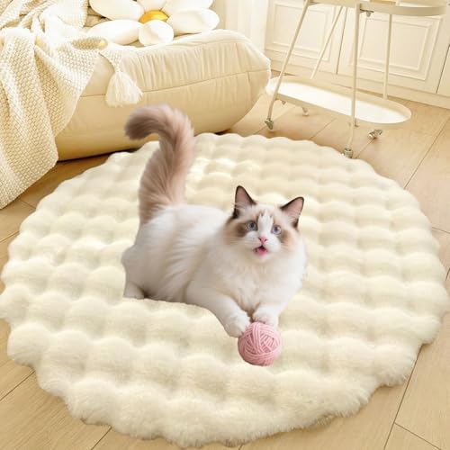 DLLDLGG Flauschiges Katzenbett, Weicher, Zotteliger Bodenteppich, Teppich für Wohnzimmer, Schlafzimmer, rutschfeste Schlafmatte für Große, Riesige, Mittelgroße und Kleine Hunderassen DLLDLGG Flauschiges Katzenbett, Weicher, Zotteliger Bodenteppich, Teppich für Wohnzimmer, Schlafzimmer, rutschfeste Schlafmatte für Große, Riesige, Mittelgroße und Kleine Hunderassen von DLLDLGG