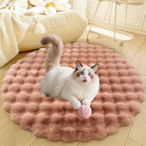 DLLDLGG Flauschiges Katzenbett, Weicher, Zotteliger Bodenteppich, Teppich für Wohnzimmer, Schlafzimmer, rutschfeste Schlafmatte für Große, Riesige, Mittelgroße und Kleine Hunderassen von DLLDLGG