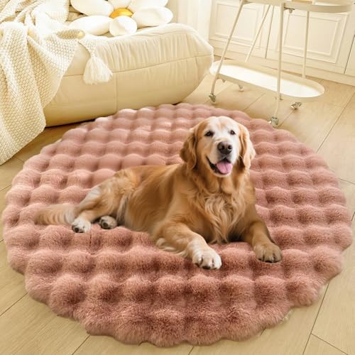 DLLDLGG Welpencouch für Katzen und Hunde mit Rutschfester Unterseite Weiches Flauschiges Großes Haustier-Sofabett, Waschbarer Runder Teppich, Modernes, Zotteliges Bett Als Bodenmatte fürs Wohnzimmer von DLLDLGG