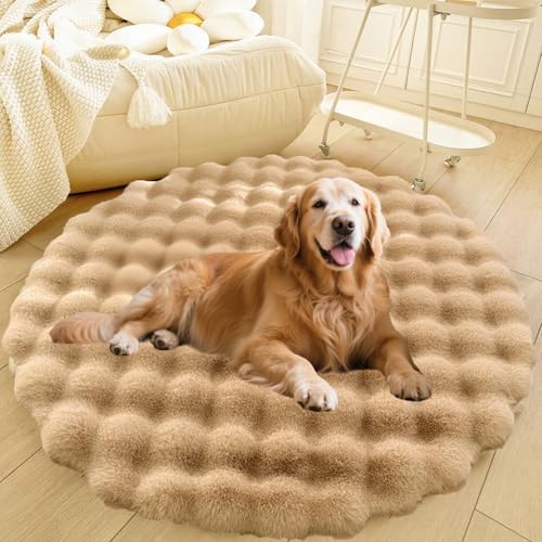 DLLDLGG Welpencouch für Katzen und Hunde mit Rutschfester Unterseite Weiches Flauschiges Großes Haustier-Sofabett, Waschbarer Runder Teppich, Modernes, Zotteliges Bett Als Bodenmatte fürs Wohnzimmer von DLLDLGG