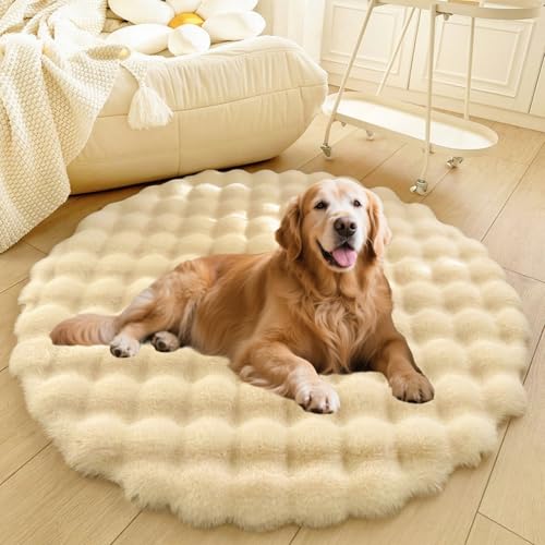 DLLDLGG Welpencouch für Katzen und Hunde mit Rutschfester Unterseite Weiches Flauschiges Großes Haustier-Sofabett, Waschbarer Runder Teppich, Modernes, Zotteliges Bett Als Bodenmatte fürs Wohnzimmer von DLLDLGG