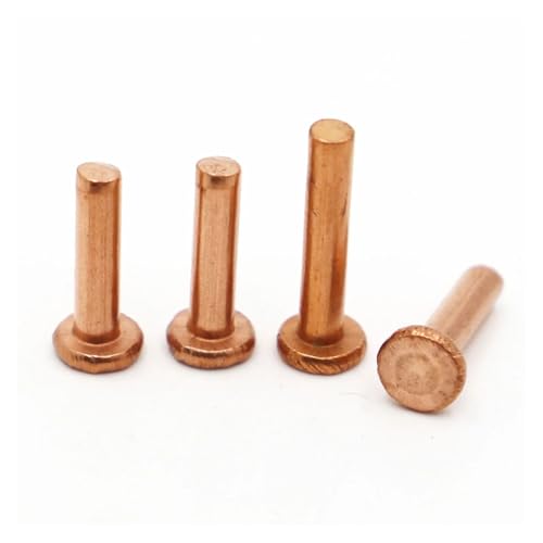 1 Stück-50 Stück Kupfer-Vollnieten Niete Flachkopf Kupfernieten Massive Messingniete M1,5 M2,0 M2,5 M3 M4 M5 M6 M8(M2 50pcs,10mm) von DLNTXFDG