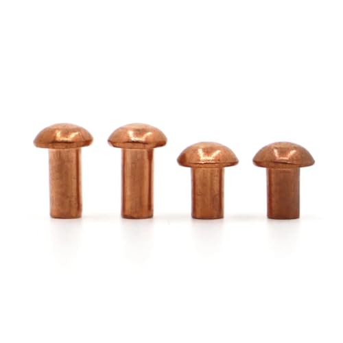 1 Stück-50 Stück M1,5 M2,0 M2,5 M3 M4 M5 M6 M8 Kupferniete Flachkopf Vollnieten Messing(M2 50pcs,4mm) von DLNTXFDG