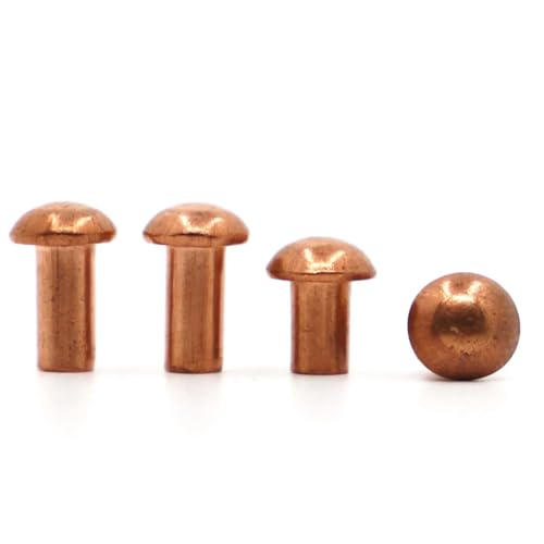 1 Stück-50 Stück M1,5 M2,0 M2,5 M3 M4 M5 M6 M8 Kupferniete Flachkopf Vollnieten Messing(M3 10pcs,8mm) von DLNTXFDG