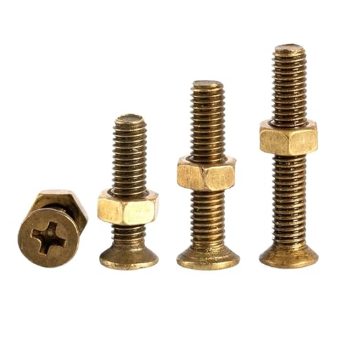 M2 M2.5 M3 M4 M5 M6 2 In1 Messing Senkkopf Kreuz Schraube Mutter Kombination(M2.5x10mm-20Sets) von DLNTXFDG
