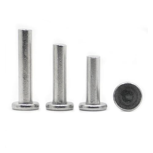 M2 M3 M4 M5 M6 M8 Aluminium Vollnieten Flachkopfniet(M2.5 50pcs,3mm) von DLNTXFDG
