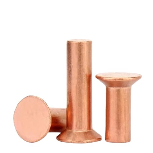 Massive Kupfernieten M2 M2.5 M3 M4 M5 M6 Senkkopfniete(M2x6mm-100pcs) von DLNTXFDG