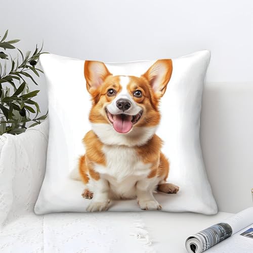 DLONIRPEX Corgi Kissenbezüge 1er-Set, Weiche Für Wohnzimmer, Schlafzimmer, 3D-gedruckt, Dekorativer Wurfkissenbezug Für Sofa, Couch, Stuhl Kissenhülle 40x40cm DLONIRPEX Corgi Kissenbezüge 1er-Set, Weiche Für Wohnzimmer, Schlafzimmer, 3D-gedruckt, Dekorativer Wurfkissenbezug Für Sofa, Couch, Stuhl Kissenhülle 40x40cm von DLONIRPEX