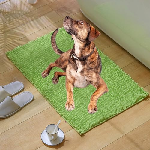 DLZMO Cleany Matte Hund, Hunde Schmutzfangmatte, Super Absorbierende Bodenmatte für schlammige, nasse Pfoten und Schuhe (HellgrüN, 60x90CM) von DLZMO