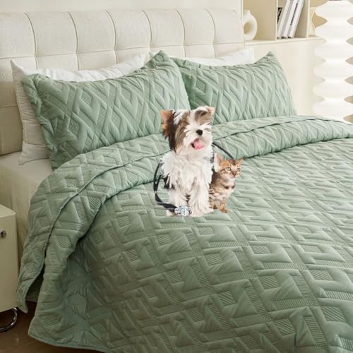 DMBAOD Hergestellt aus Baumwollbett mit 100% 100% 100% igen Ästhetik und NET -Nähgewebe, 1 Kurze Schale mit 2 Kissendeckel auf der Oberseite Grün 106 * 96“/260 * 240cm von DMBAOD