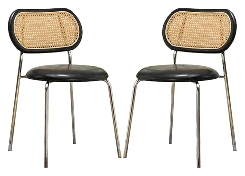 DMBBSAPBSH Esszimmerstuhl, Esszimmerstühle, Esszimmerstühle 2er-Set mit Metallbeinen for Schlafzimmer/Wohnzimmer/Laden(G) von DMBBSAPBSH
