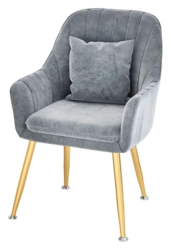 DMBBSAPBSH Esszimmerstuhl, Esszimmerstühle, Moderner Küchenstuhl mit Rückenlehnen und Metallbeinen for Wohnzimmer, Schlafzimmer, Büro(Light Grey) von DMBBSAPBSH