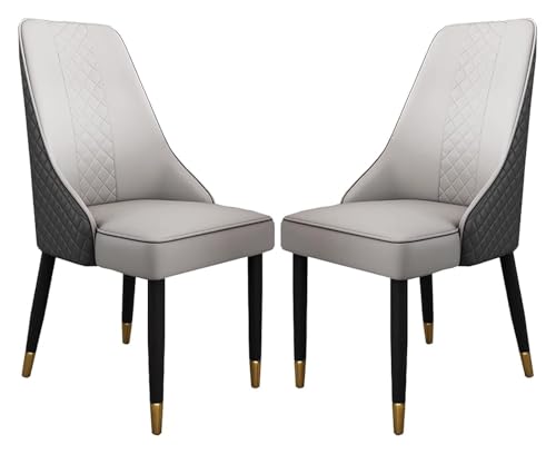 DMBBSAPBSH Esszimmerstuhl, Esszimmerstühle, Wohnzimmerstuhl mit Metallbeinen, 2er-Set for Küche und Esszimmer(Grey) von DMBBSAPBSH