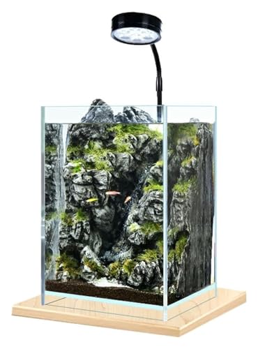 DMBBSAPBSH Goldfischglas, Fischschale, Desktop Kleine Fisch Tank Büro Hause Aquarium Desktop Dekoration Aquarien DMBBSAPBSH Goldfischglas, Fischschale, Desktop Kleine Fisch Tank Büro Hause Aquarium Desktop Dekoration Aquarien von DMBBSAPBSH
