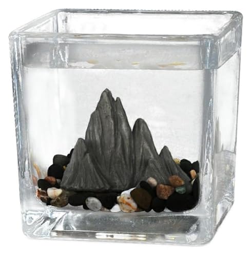 DMBBSAPBSH Goldfischglas, Fischschale, Fischschale Desktop Square Aquarium Büro Kleine Ornamente(Small) von DMBBSAPBSH