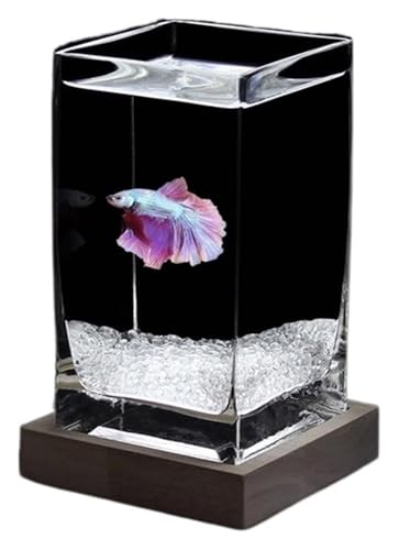 DMBBSAPBSH Goldfischglas, Fischschale, Kleine Fischschale aus verdicktem Glas for den Schreibtisch mit Holzsockel(White02) von DMBBSAPBSH