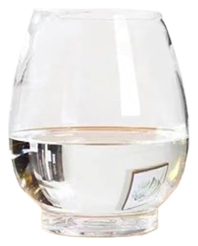 DMBBSAPBSH Goldfischglas, Fischschale, Transparent Oval Kleine Fisch Tank Glas Schildkröte Tank Hause Desktop Ornamente(Medium) von DMBBSAPBSH