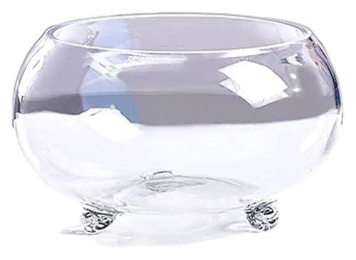 DMBBSAPBSH Goldfischglas, Fischschale, Verdicktes transparentes Glasbecken Schildkrötenbecken Heim Wohnzimmer Büro Desktop Aquarien(Medium) von DMBBSAPBSH