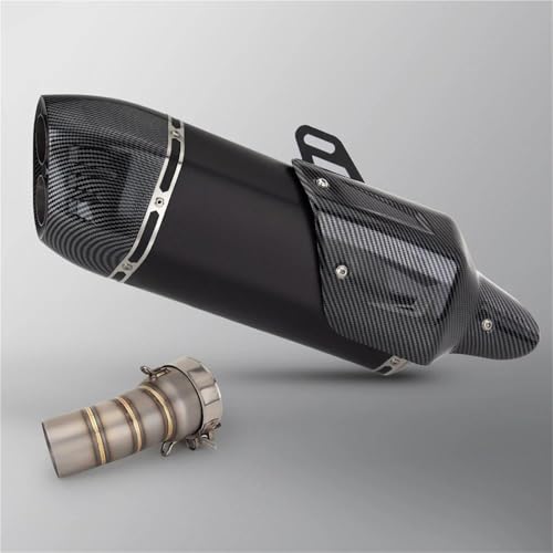 DMLHL Motorrad-Mittelteil Mittelverbindungsrohr Auspuff Modifizierter Anschluss Mit Abdeckung Doppelloch-Schalldämpfer Für B&MW R1300GS(Style 3) von DMLHL