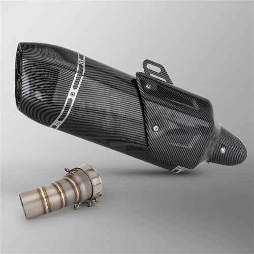 DMLHL Motorrad-Mittelteil Mittelverbindungsrohr Auspuff Modifizierter Anschluss Mit Abdeckung Doppelloch-Schalldämpfer Für B&MW R1300GS(Style 4) von DMLHL