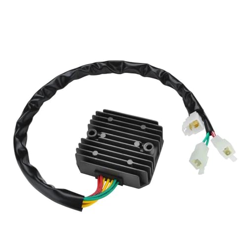DMLHL Reglerkonverter Motorrad Gleichrichter Spannungsregler Für VT 1100 / VT1100 C2 C Für Schatten VT1100 T C2-2 ACE VT1100 C3 Für AERO Teile von DMLHL