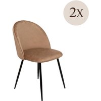 2er-Set Achito-Stühle, Samtgepolsterter Sessel, Gepolsterter Esszimmerstuhl, Konferenzstuhl, 51x54h82 cm, Beige 2er-Set Achito-Stühle, Samtgepolsterter Sessel, Gepolsterter Esszimmerstuhl, Konferenzstuhl, 51x54h82 cm, Beige von DMORA