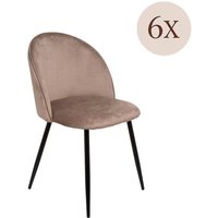 6er-Set Stinson-Stühle, Samtpolstersessel, gepolsterter Esszimmerstuhl, Konferenzstuhl, 51 x 54 x 82 cm, Taubengrau von DMORA